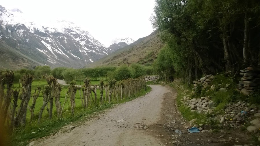 Parkachik - Photo 2