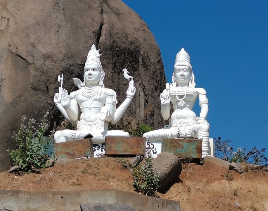 Bhadrakali Temple - Photo 7