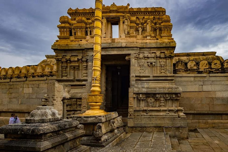 Nandi Bull - Photo 2