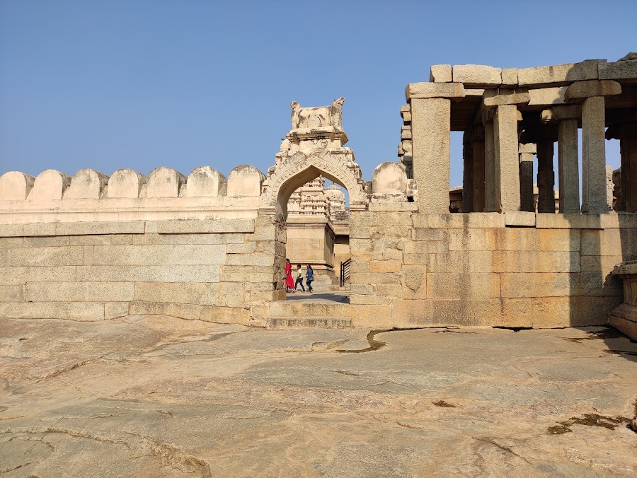 Nandi Bull - Photo 4