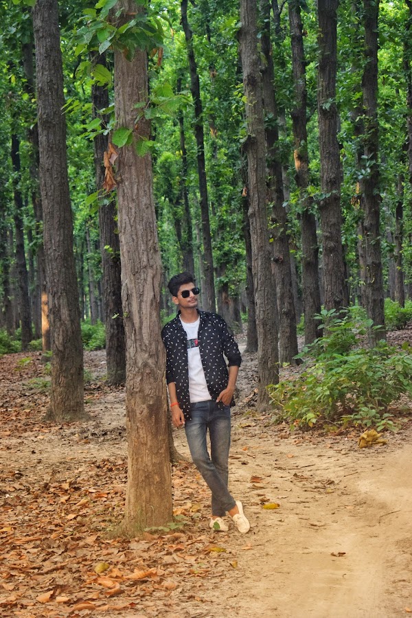 Kushmi Forest - Photo 3