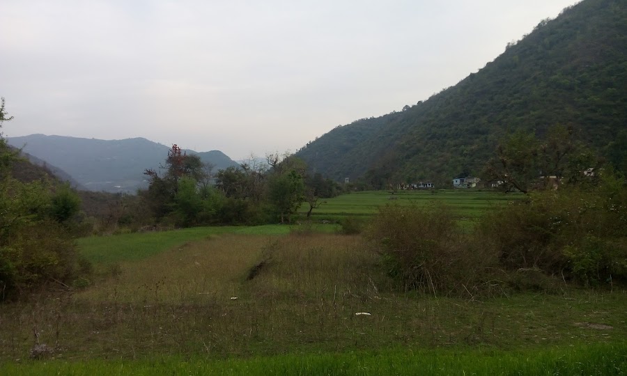 Pauri View Point - Photo 9