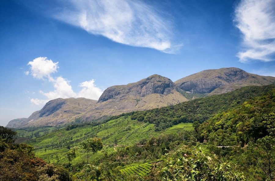 Anamudi Peak - Photo 3