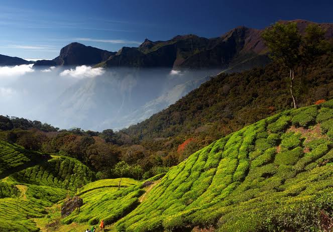 Anamudi Peak - Photo 2