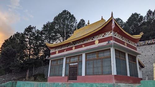 Kalpa - Photo 5