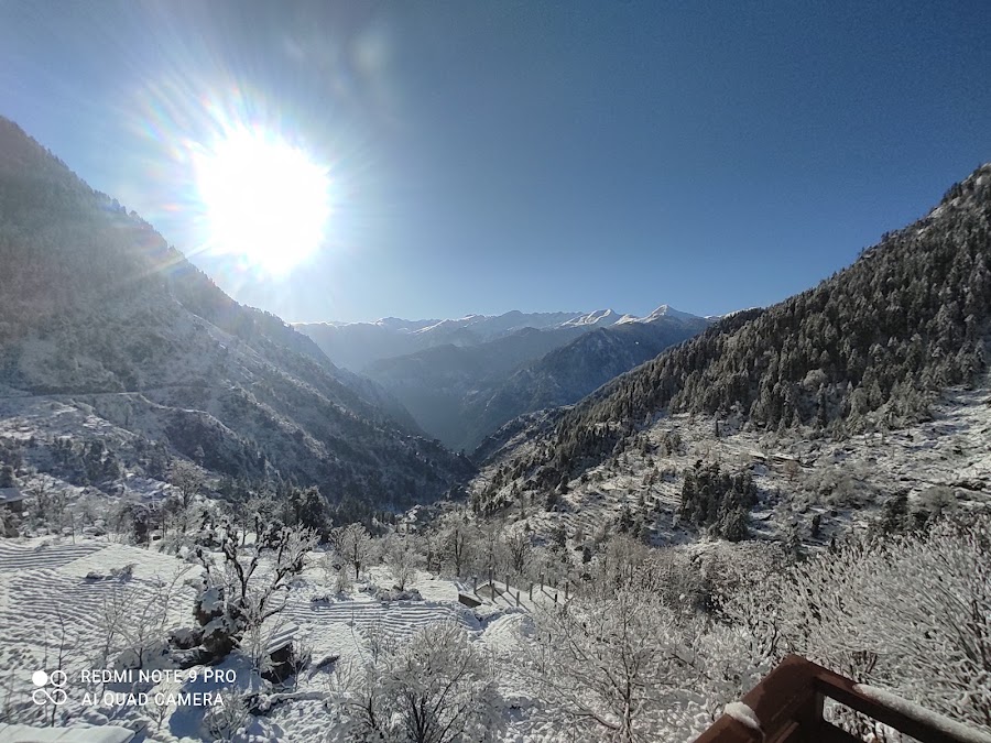 Rupi Village - Photo 4