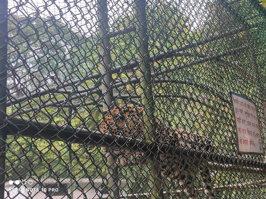 Jawaharlal Nehru Biological Park - Photo 4