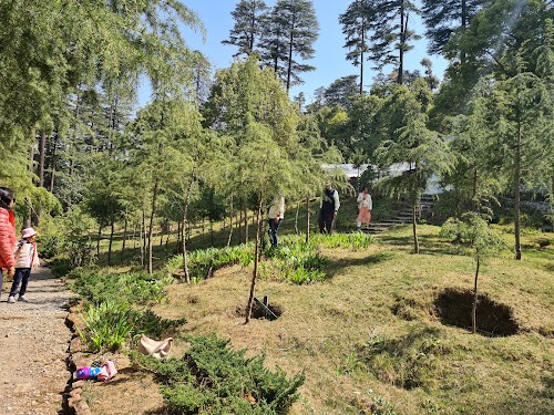 Dhanaulti - Photo 2