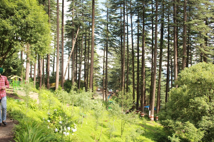 Dhanaulti - Photo 7