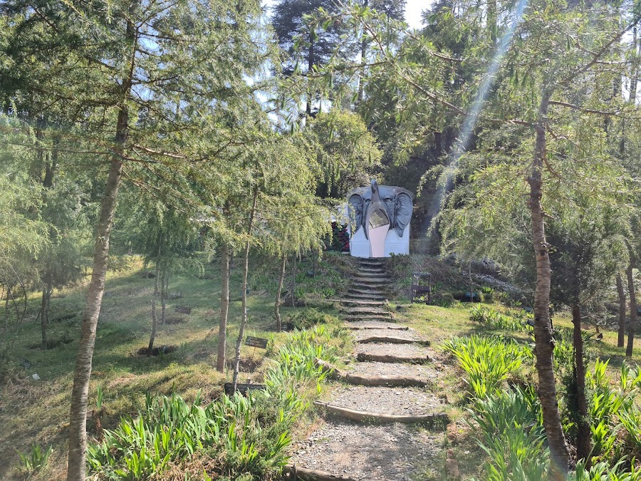 Dhanaulti - Photo 4