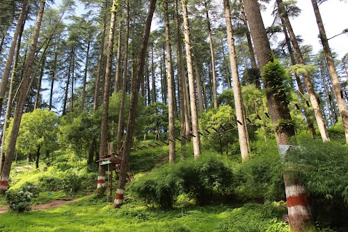 Dhanaulti - Photo 5