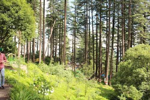 Dhanaulti - Photo 4
