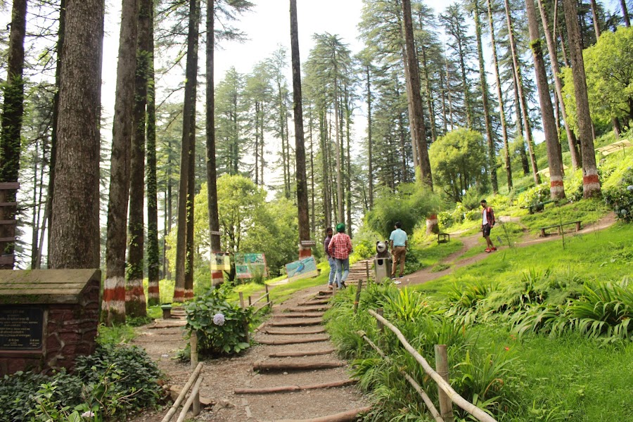 Dhanaulti - Photo 3