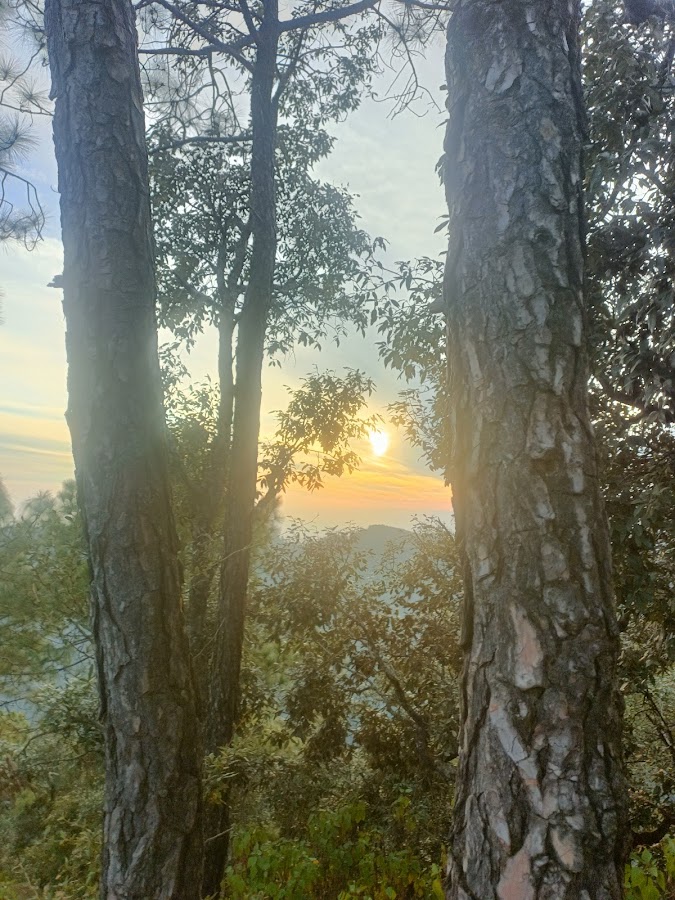 Dhanaulti - Photo 10
