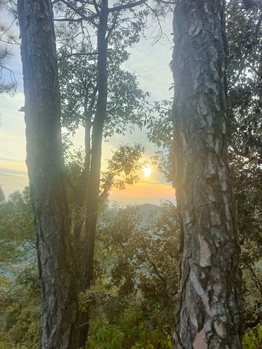 Dhanaulti - Photo 6