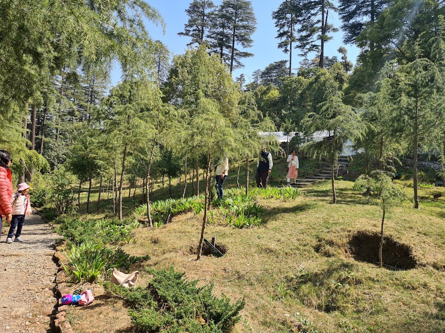 Dhanaulti - Photo 5