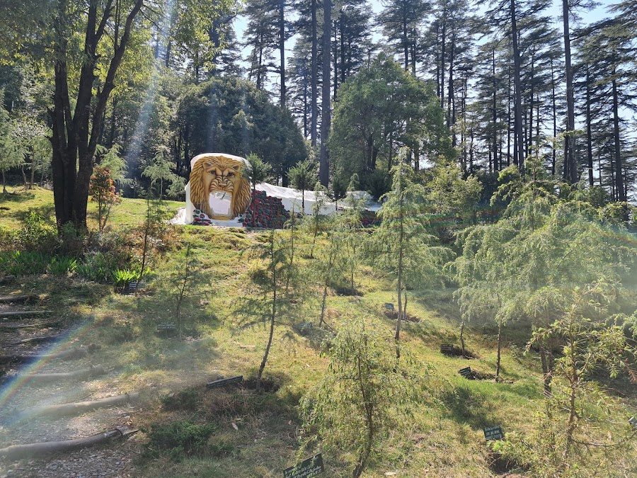 Dhanaulti - Photo 6