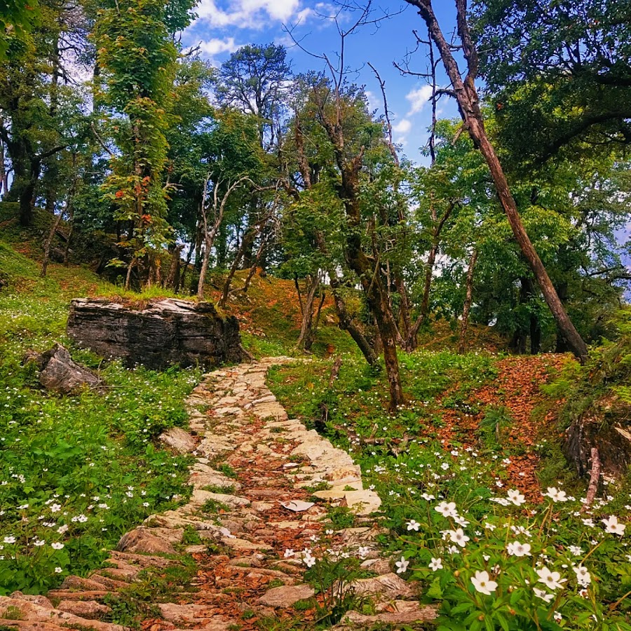 Thamari Kund - Photo 8
