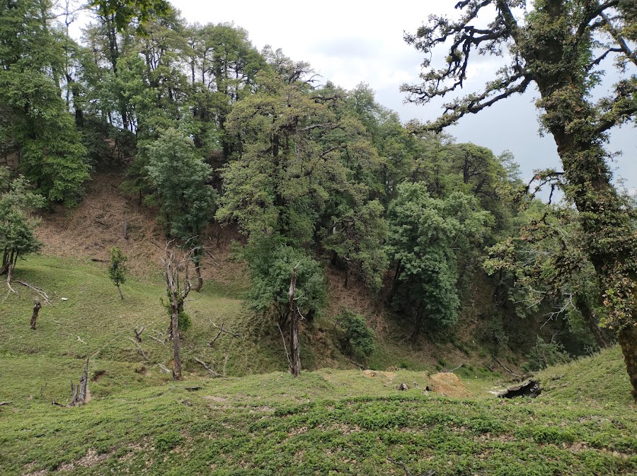 Thamari Kund - Photo 6