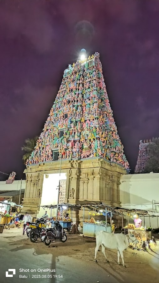 Ariyakudi Venkatachalapathy Temple - Photo 3