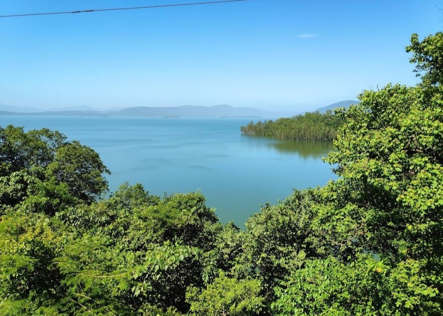 Dandeli Wildlife Sanctuary - Photo 4