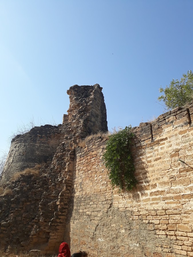 Tera Fort - Photo 2