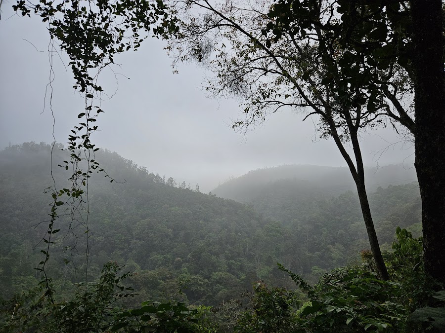 Mandalpatti View Point - Photo 3
