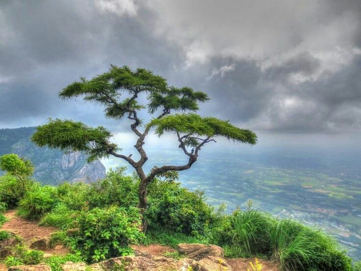 Mampara Viewpoint - Photo 2