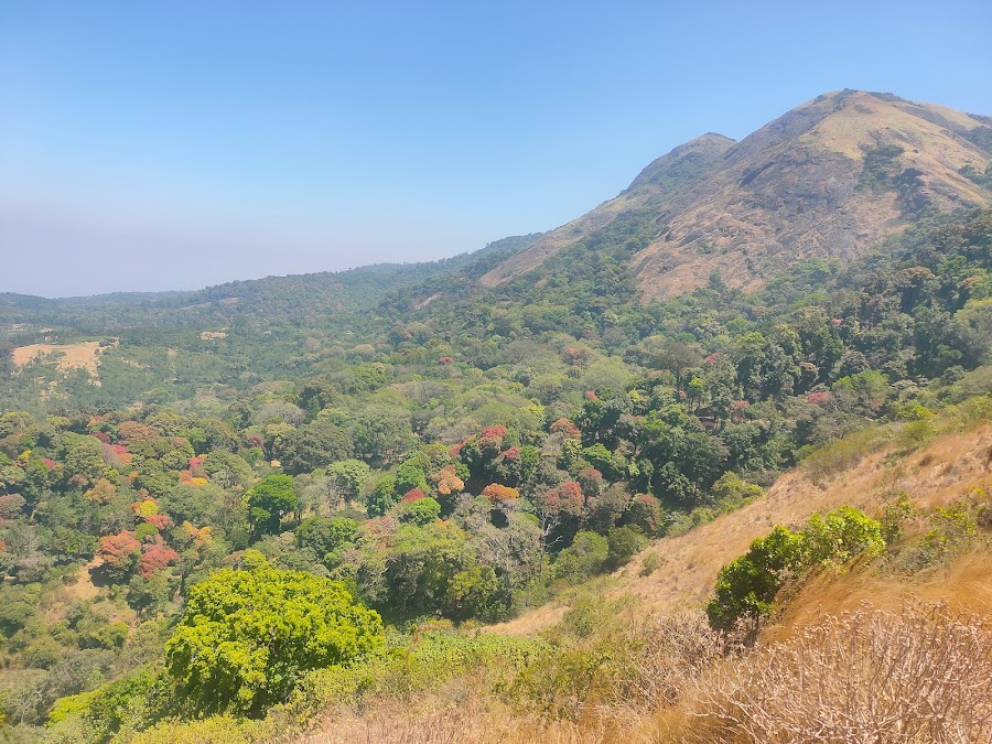Mampara Viewpoint - Photo 3