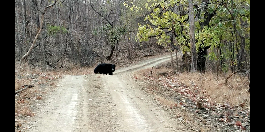 Bor Wildlife Sanctuary - Photo 4