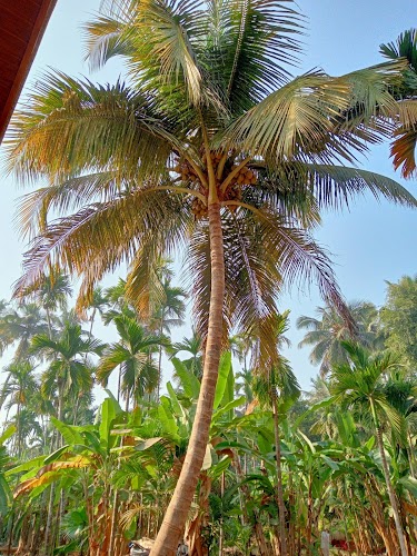 Diveagar - Photo 4