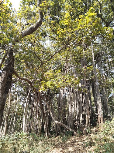 Kabir Chabutra - Photo 2
