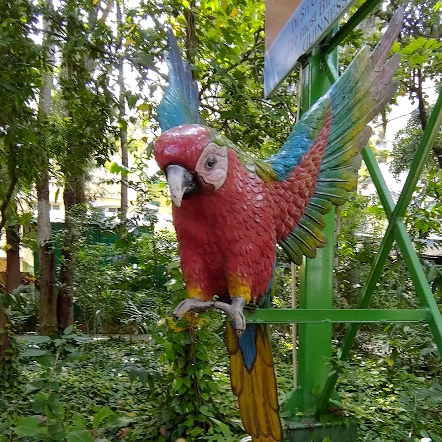 Shuka Vana - Parrot Conservation Centre - Photo 2