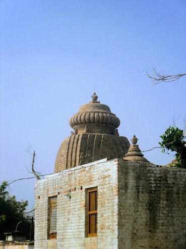 Maa Taratarini Temple - Photo 2