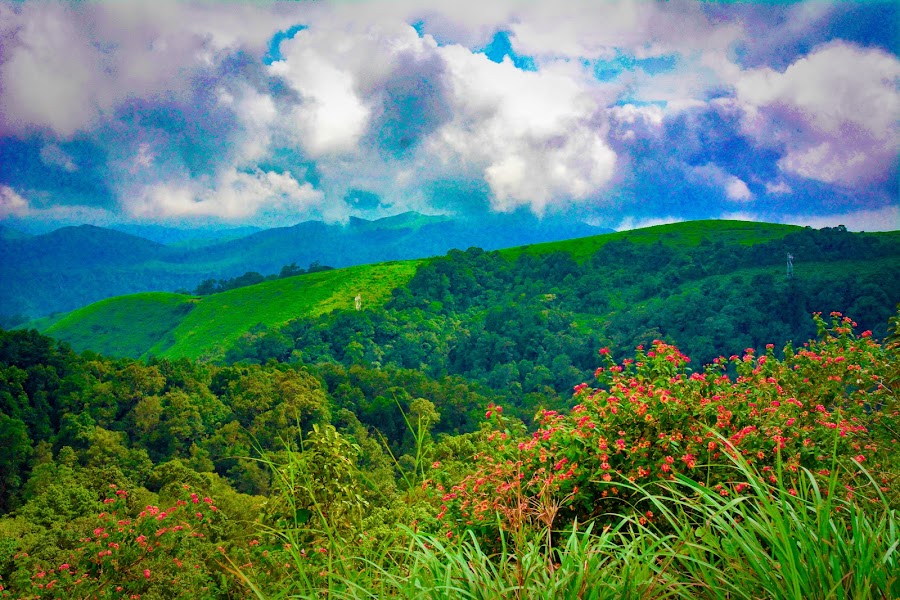 Sabarimala View Point - Photo 4