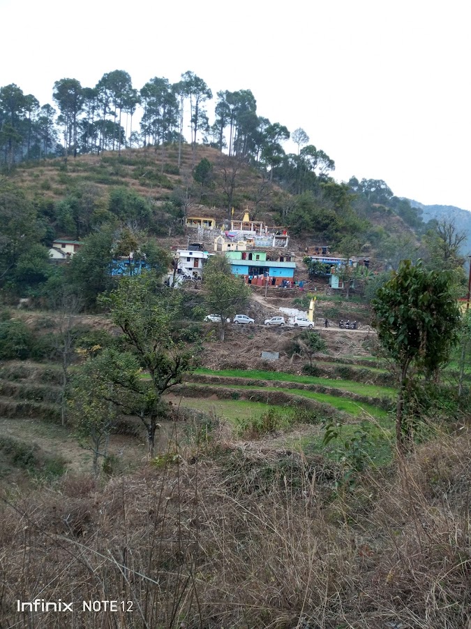 Binsar Mahadev Temple - Photo 10