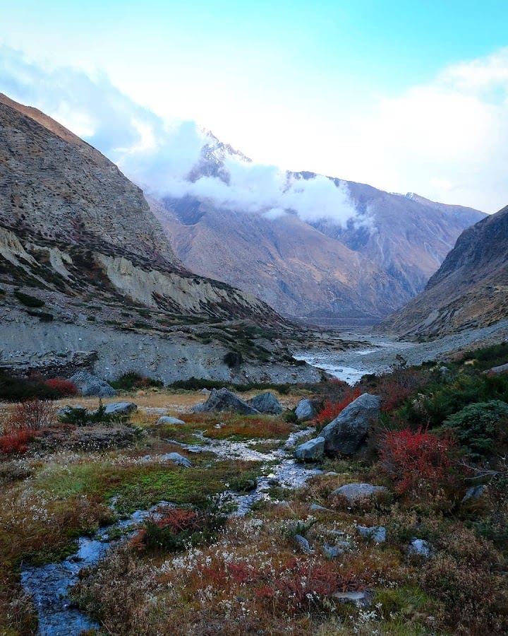 Milam Glacier - Photo 2