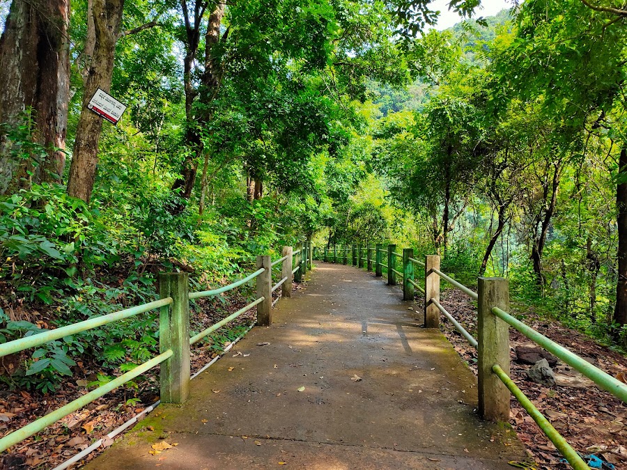 Sathodi Falls - Photo 2