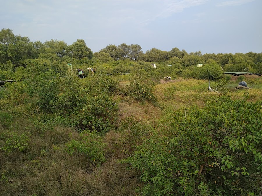 Coringa Wildlife Sanctuary - Photo 4