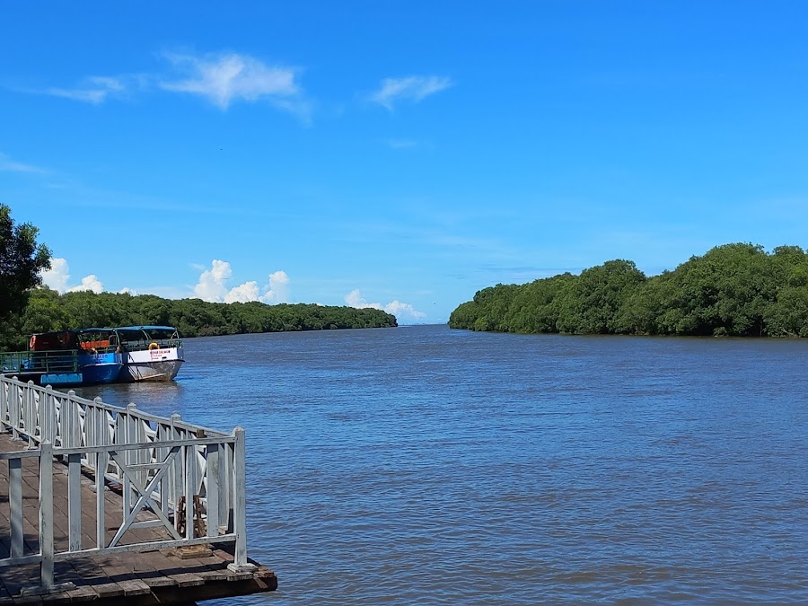 Coringa Wildlife Sanctuary - Photo 2
