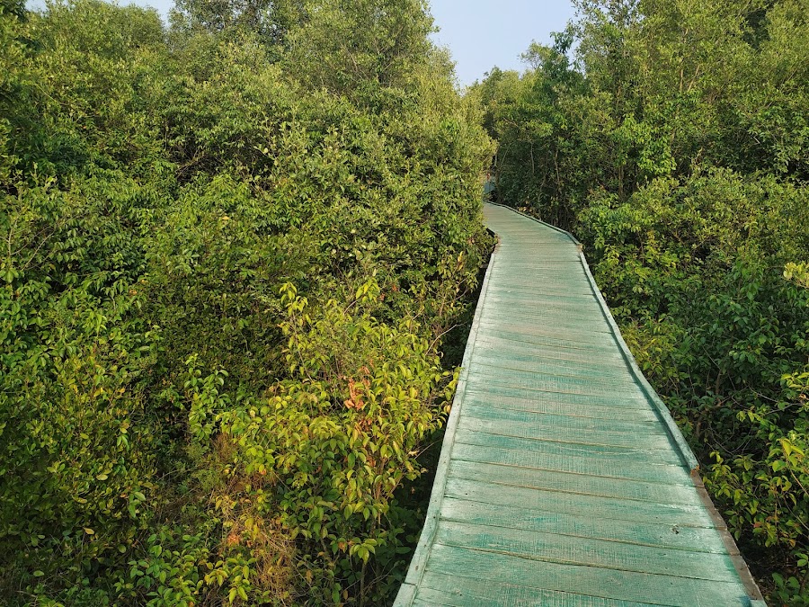 Coringa Wildlife Sanctuary - Photo 3