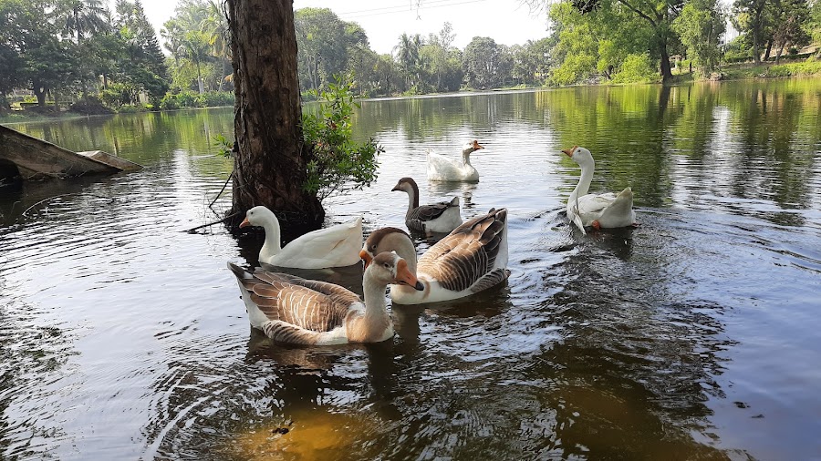 Amarabati Park - Photo 10