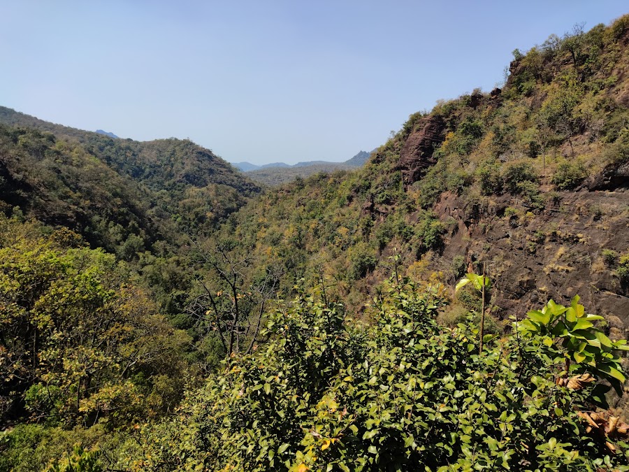 Bee Falls - Photo 4