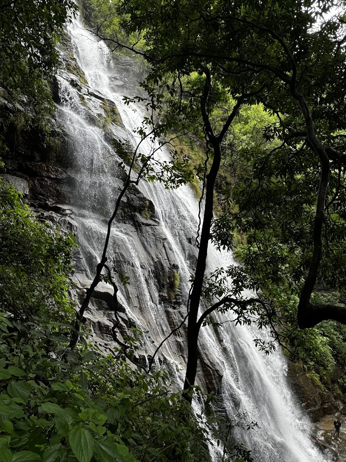 Bee Falls - Photo 3