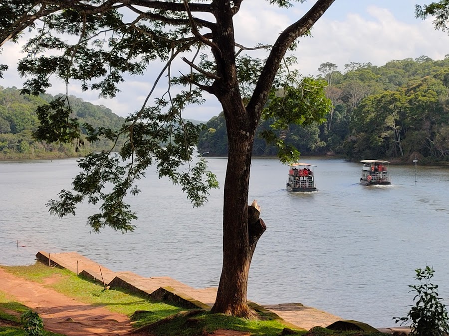 Periyar Lake - Photo 5