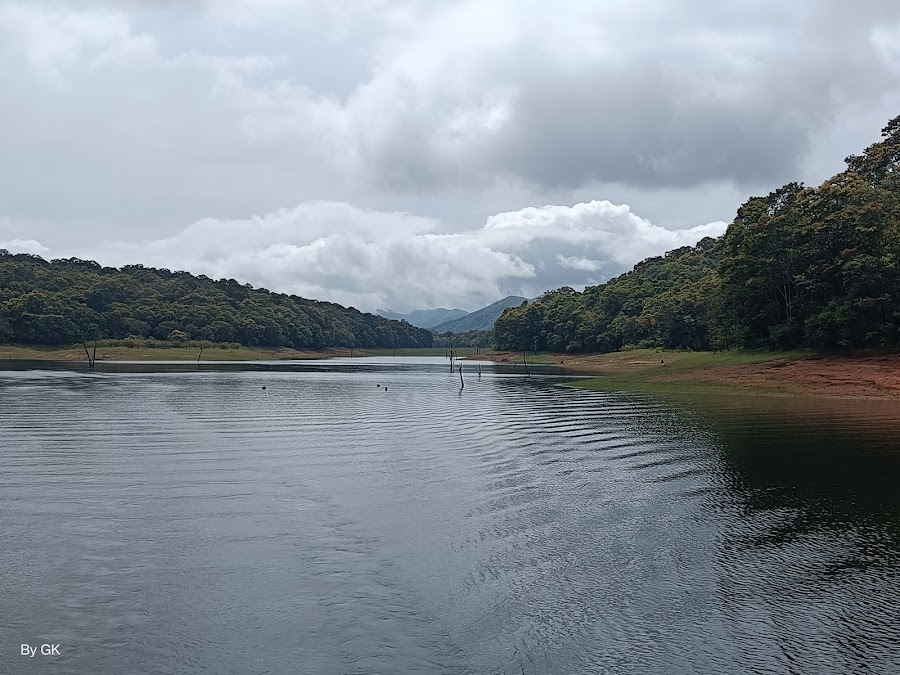 Periyar Lake - Photo 6