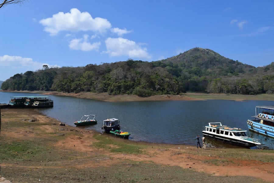 Periyar Lake - Photo 7