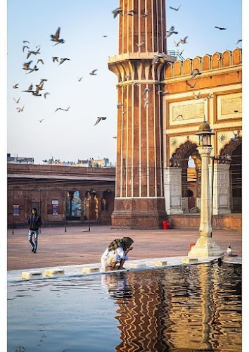 Delhi - Photo 3