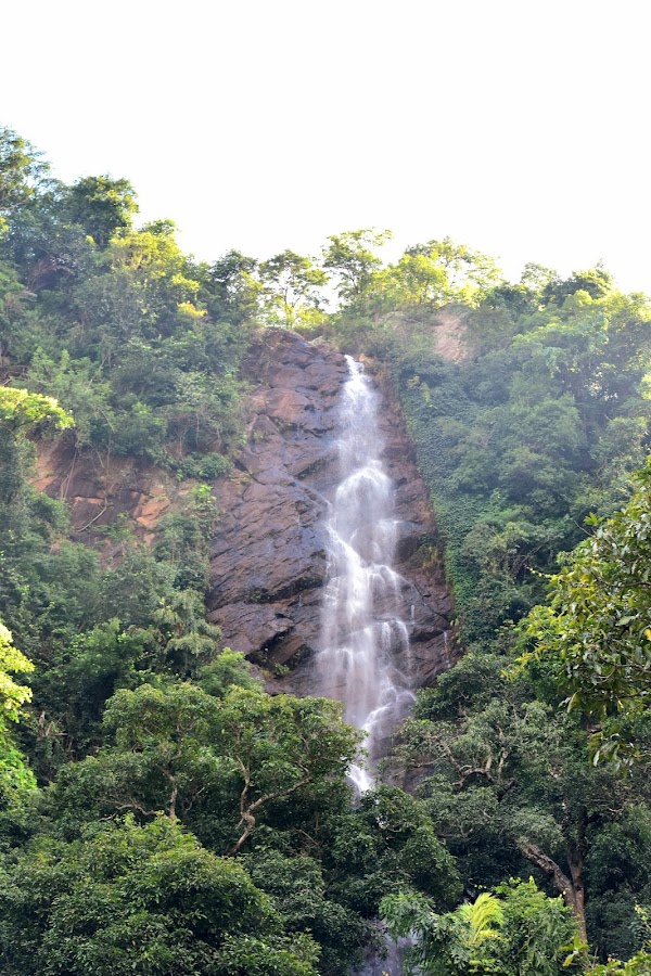 Katiki Waterfalls - Photo 3