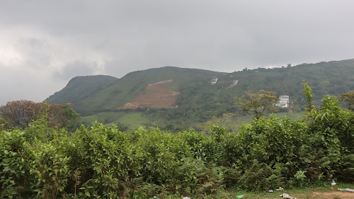 Gavi - Photo 3